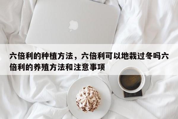 六倍利的种植方法，六倍利可以地栽过冬吗六倍利的养殖方法和注意事项-第1张图片-我家生活百科