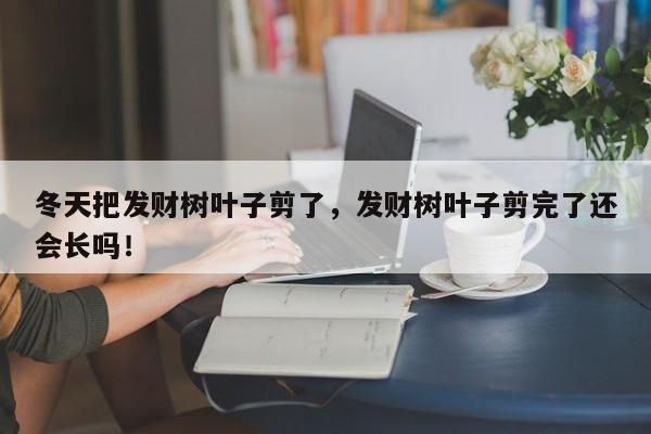 冬天把发财树叶子剪了，发财树叶子剪完了还会长吗！-第1张图片-我家生活百科
