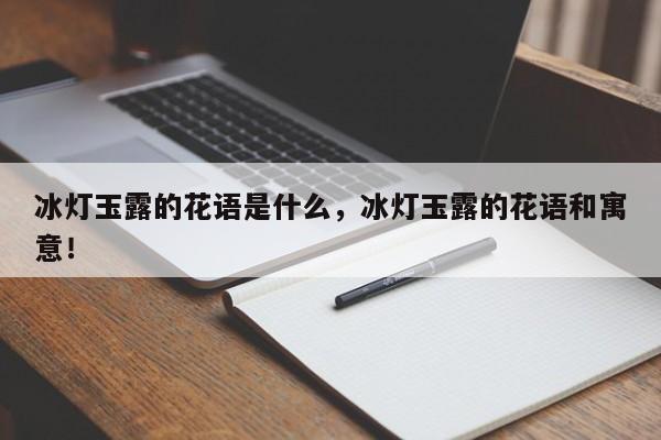 冰灯玉露的花语是什么，冰灯玉露的花语和寓意！-第1张图片-我家生活百科