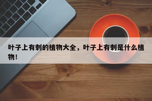 叶子上有刺的植物大全，叶子上有刺是什么植物！-第1张图片-我家生活百科