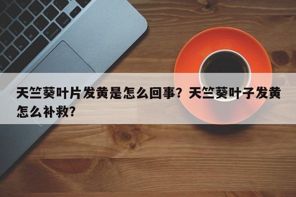 天竺葵叶片发黄是怎么回事？天竺葵叶子发黄怎么补救？-第1张图片-我家生活百科