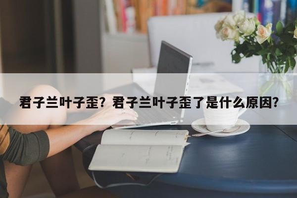 君子兰叶子歪？君子兰叶子歪了是什么原因？-第1张图片-我家生活百科