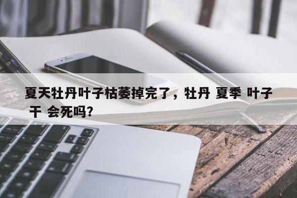 夏天牡丹叶子枯萎掉完了，牡丹 夏季 叶子 干 会死吗？-第1张图片-我家生活百科