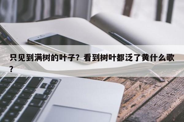 只见到满树的叶子？看到树叶都泛了黄什么歌？-第1张图片-我家生活百科