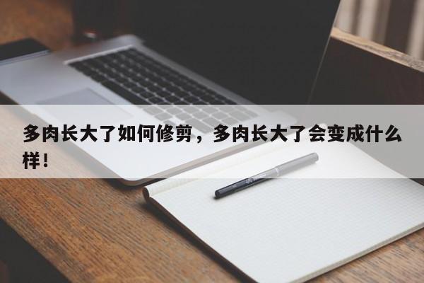 多肉长大了如何修剪，多肉长大了会变成什么样！-第1张图片-我家生活百科