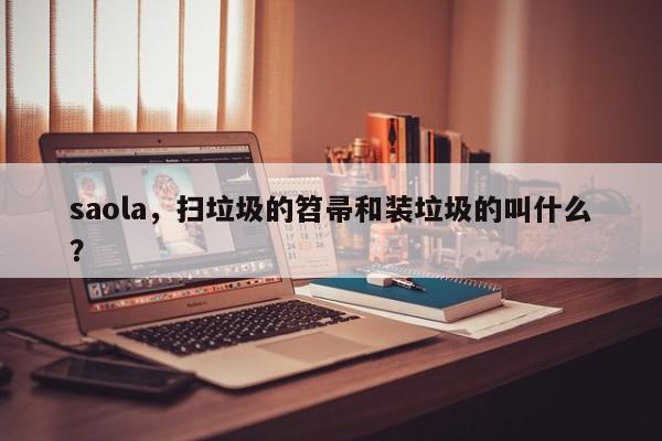 saola，扫垃圾的笤帚和装垃圾的叫什么？-第1张图片-我家生活百科