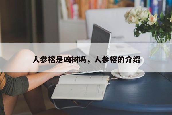 人参榕是凶树吗，人参榕的介绍-第1张图片-我家生活百科