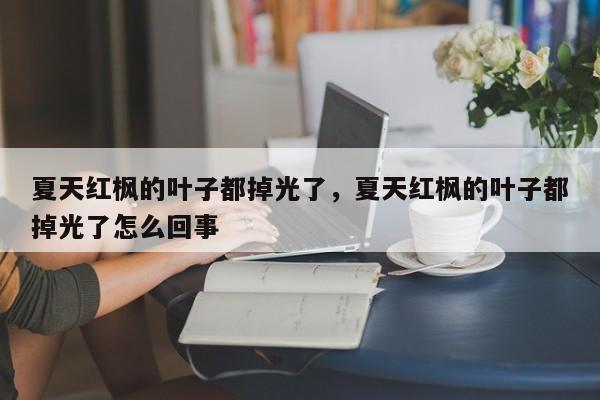 夏天红枫的叶子都掉光了，夏天红枫的叶子都掉光了怎么回事-第1张图片-我家生活百科