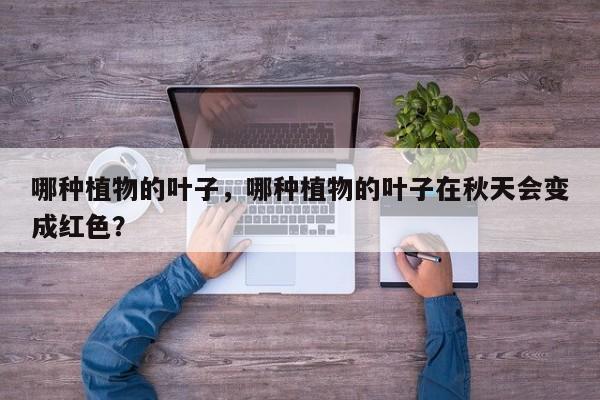 哪种植物的叶子，哪种植物的叶子在秋天会变成红色？-第1张图片-我家生活百科