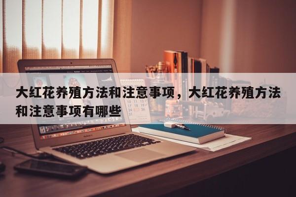 大红花养殖方法和注意事项，大红花养殖方法和注意事项有哪些-第1张图片-我家生活百科