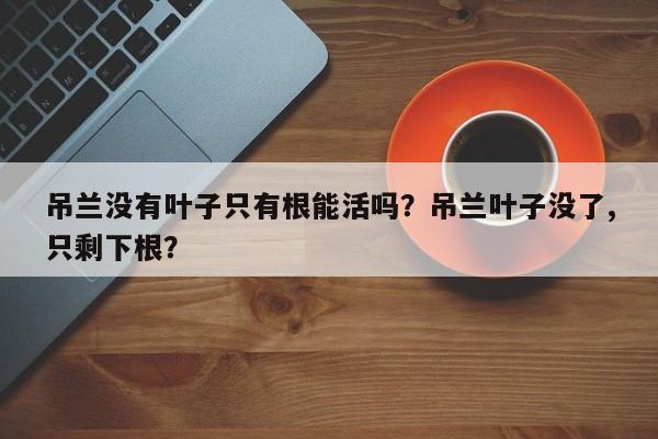 吊兰没有叶子只有根能活吗？吊兰叶子没了,只剩下根？-第1张图片-我家生活百科