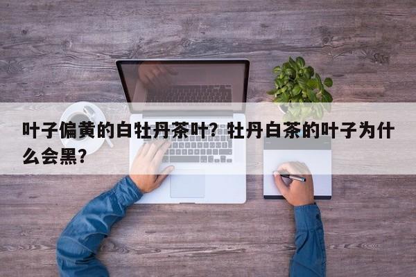 叶子偏黄的白牡丹茶叶？牡丹白茶的叶子为什么会黑？-第1张图片-我家生活百科