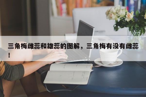 三角梅雌蕊和雄蕊的图解，三角梅有没有雌蕊！-第1张图片-我家生活百科