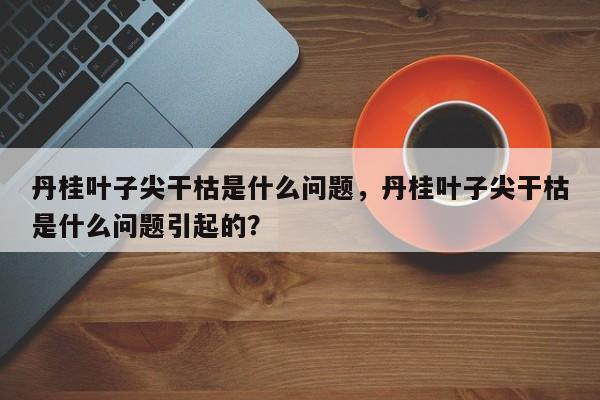 丹桂叶子尖干枯是什么问题，丹桂叶子尖干枯是什么问题引起的？-第1张图片-我家生活百科