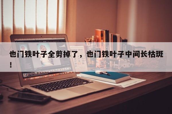 也门铁叶子全剪掉了，也门铁叶子中间长枯斑！-第1张图片-我家生活百科