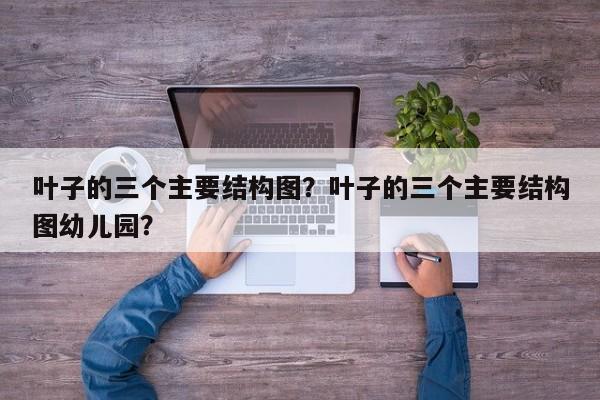 叶子的三个主要结构图？叶子的三个主要结构图幼儿园？-第1张图片-我家生活百科