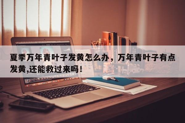 夏季万年青叶子发黄怎么办，万年青叶子有点发黄,还能救过来吗！-第1张图片-我家生活百科