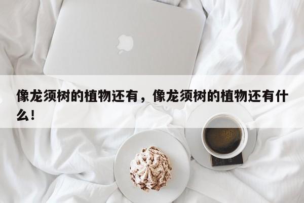 像龙须树的植物还有，像龙须树的植物还有什么！-第1张图片-我家生活百科