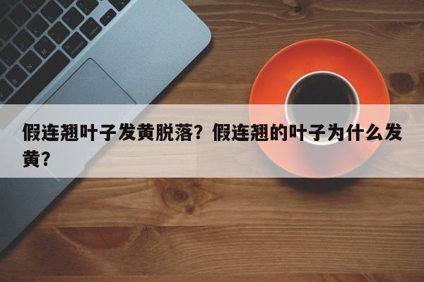 假连翘叶子发黄脱落？假连翘的叶子为什么发黄？-第1张图片-我家生活百科