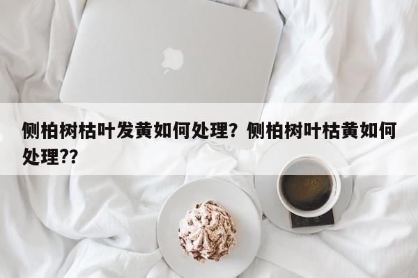 侧柏树枯叶发黄如何处理？侧柏树叶枯黄如何处理?？-第1张图片-我家生活百科
