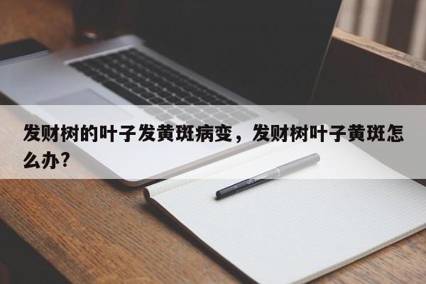 发财树的叶子发黄斑病变，发财树叶子黄斑怎么办?-第1张图片-我家生活百科