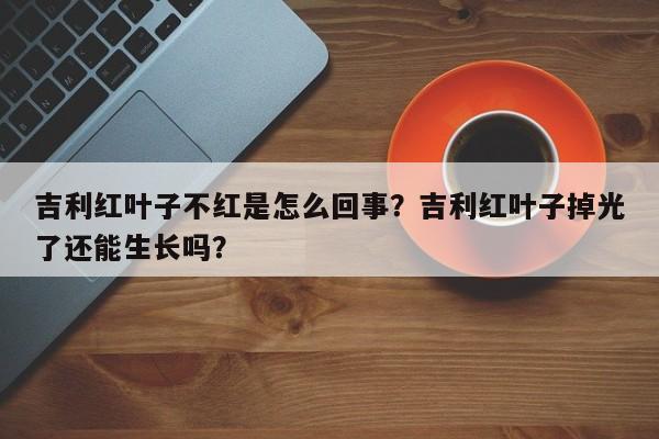 吉利红叶子不红是怎么回事？吉利红叶子掉光了还能生长吗？-第1张图片-我家生活百科