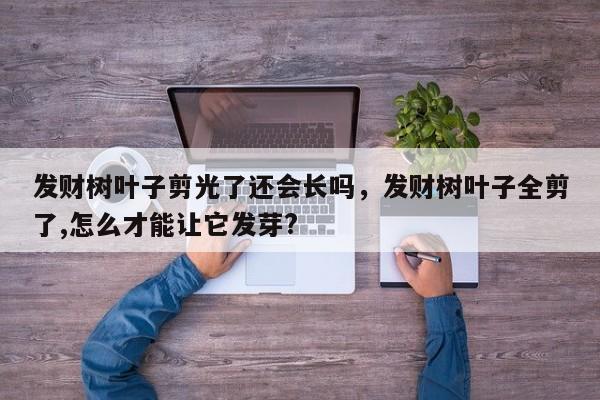 发财树叶子剪光了还会长吗，发财树叶子全剪了,怎么才能让它发芽?-第1张图片-我家生活百科