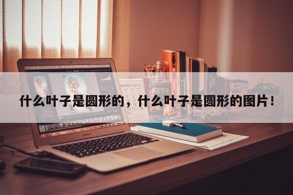 什么叶子是圆形的，什么叶子是圆形的图片！-第1张图片-我家生活百科