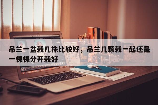 吊兰一盆栽几株比较好，吊兰几颗栽一起还是一棵棵分开栽好-第1张图片-我家生活百科
