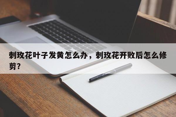 刺玫花叶子发黄怎么办，刺玫花开败后怎么修剪？-第1张图片-我家生活百科