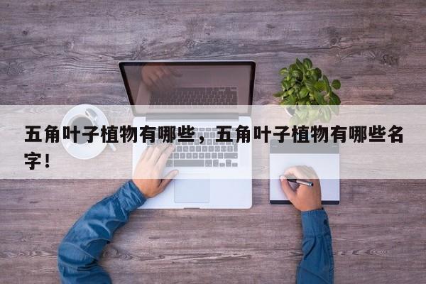 五角叶子植物有哪些，五角叶子植物有哪些名字！-第1张图片-我家生活百科