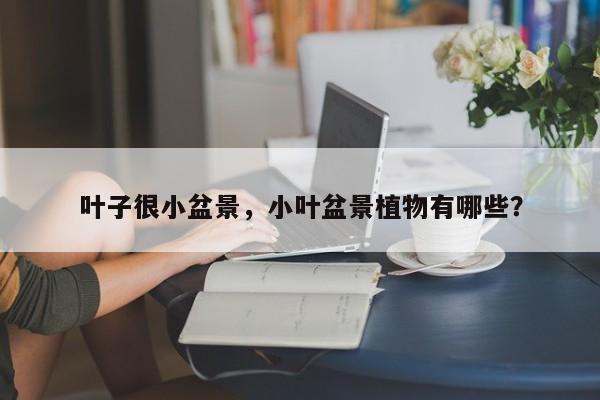 叶子很小盆景，小叶盆景植物有哪些？-第1张图片-我家生活百科