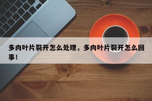 多肉叶片裂开怎么处理，多肉叶片裂开怎么回事！-第1张图片-我家生活百科