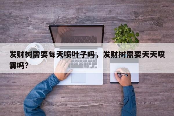 发财树需要每天喷叶子吗，发财树需要天天喷雾吗？-第1张图片-我家生活百科