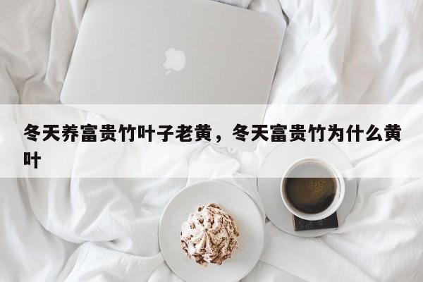 冬天养富贵竹叶子老黄，冬天富贵竹为什么黄叶-第1张图片-我家生活百科