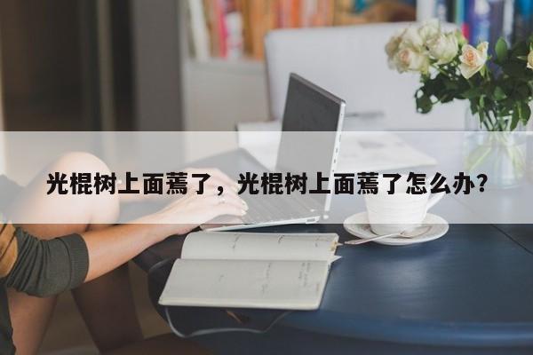 光棍树上面蔫了，光棍树上面蔫了怎么办？-第1张图片-我家生活百科