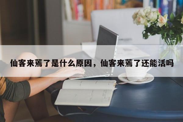 仙客来蔫了是什么原因，仙客来蔫了还能活吗-第1张图片-我家生活百科