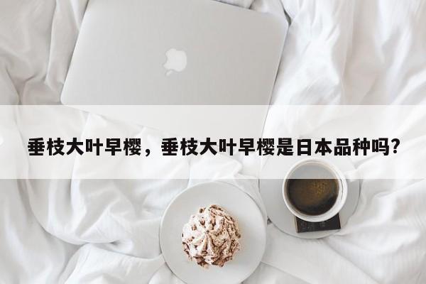 垂枝大叶早樱，垂枝大叶早樱是日本品种吗?-第1张图片-我家生活百科