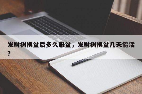 发财树换盆后多久服盆，发财树换盆几天能活？-第1张图片-我家生活百科