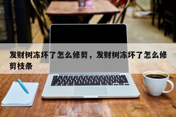 发财树冻坏了怎么修剪，发财树冻坏了怎么修剪枝条-第1张图片-我家生活百科
