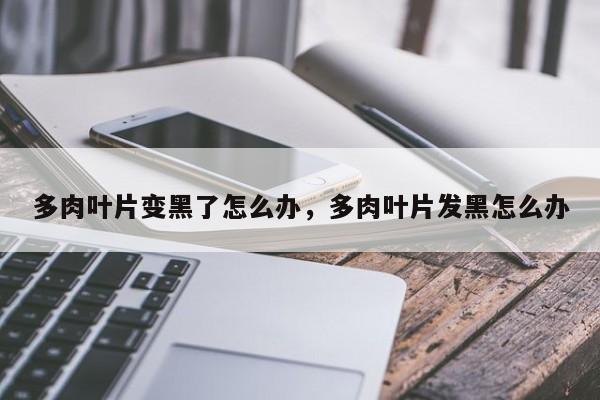 多肉叶片变黑了怎么办，多肉叶片发黑怎么办-第1张图片-我家生活百科