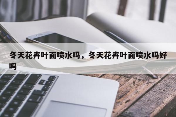 冬天花卉叶面喷水吗，冬天花卉叶面喷水吗好吗-第1张图片-我家生活百科