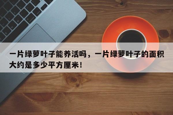一片绿萝叶子能养活吗，一片绿萝叶子的面积大约是多少平方厘米！-第1张图片-我家生活百科