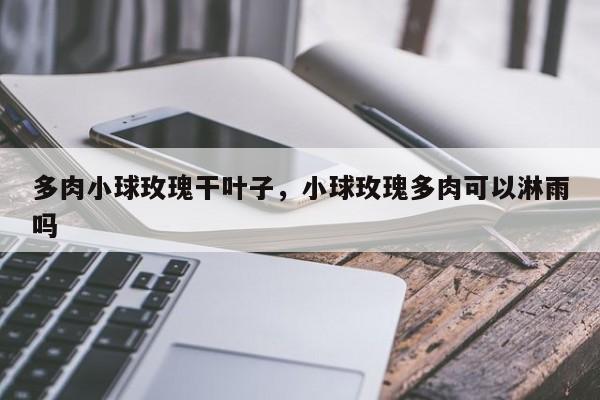 多肉小球玫瑰干叶子，小球玫瑰多肉可以淋雨吗-第1张图片-我家生活百科
