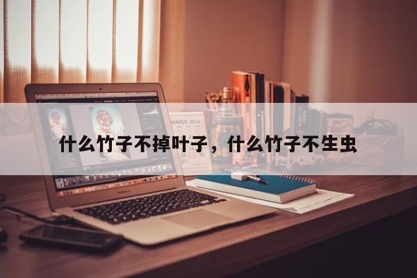 什么竹子不掉叶子，什么竹子不生虫-第1张图片-我家生活百科