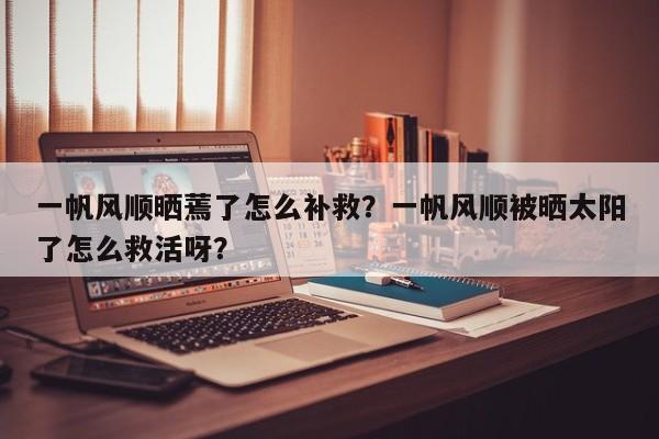 一帆风顺晒蔫了怎么补救？一帆风顺被晒太阳了怎么救活呀？-第1张图片-我家生活百科