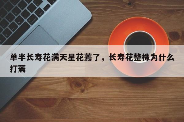 单半长寿花满天星花蔫了，长寿花整株为什么打蔫-第1张图片-我家生活百科