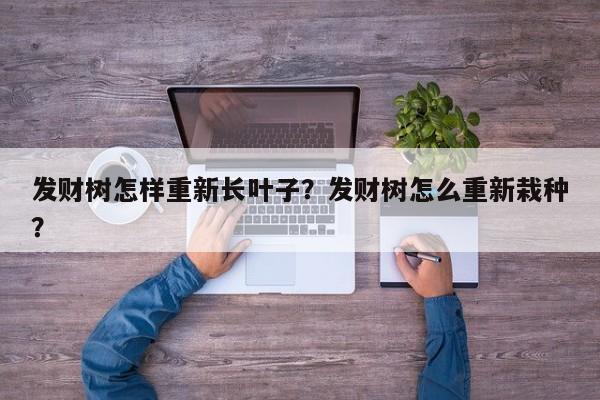 发财树怎样重新长叶子？发财树怎么重新栽种？-第1张图片-我家生活百科