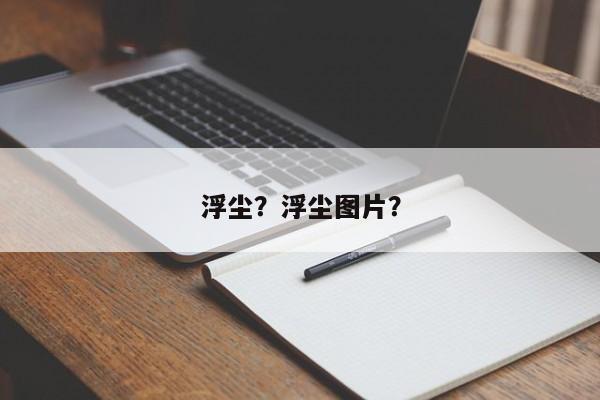 浮尘？浮尘图片？-第1张图片-我家生活百科