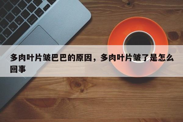 多肉叶片皱巴巴的原因，多肉叶片皱了是怎么回事-第1张图片-我家生活百科